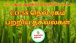 CO58 நெல் ரகம் பற்றிய தகவல்கள் உழவனில்ஒருவன் [upl. by Otreblasiul849]