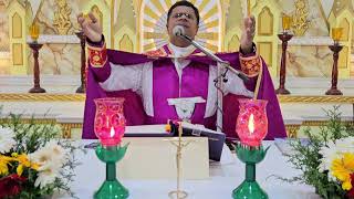 Holy Mass November 21 Tuesday 530 AM I Malayalam I Syro Malabar I Fr Bineesh Augustine [upl. by Oniger]