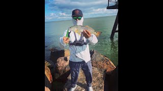 GALVESTON FISHING REDSampTROUT CATCH AND COOK [upl. by Agbogla]