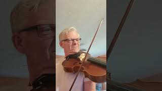 Pupils Concerto No 2 by Friedrich Seitz Op 13 for viola Allegro non troppo [upl. by Pence539]