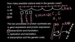 How many possible codons exist in the genetic code [upl. by Ahsitil]