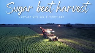 Sugar beet harvest 2023 l Verveat Evo 625 l Fendt Vario 828 with 6 furrow plough [upl. by Nester]