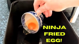 Frying an EGG in the NINJA airfryer [upl. by Aikym447]