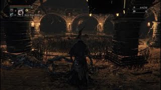 Bloodborne™ Best waning Cursed Tempering Blood Gem 20 physical glyph enjids45 [upl. by Ydner226]