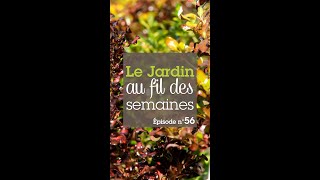 Le Jardin au Fil des Semaines épisode 56 [upl. by Castorina]