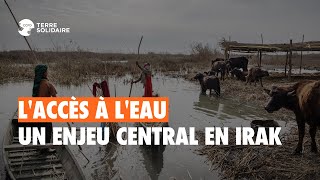 Laccès à leau un enjeu central en Irak [upl. by Cowles17]