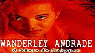 Wanderley Andrade  O gênio do Calypso CD Completo [upl. by Ynahpit]