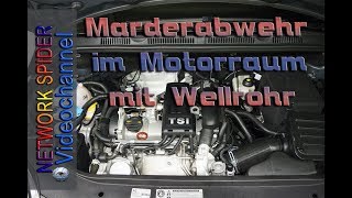 Marderschreck  Marderschutz im Motorraum [upl. by Ille]