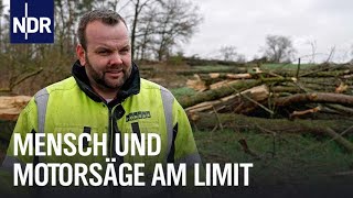 Abholzen im Grenzbereich  Die Nordreportage  NDR Doku [upl. by Eillit]