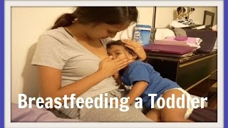 Breastfeeding a Toddler  April 25 2016  Ex2L [upl. by Pembroke458]