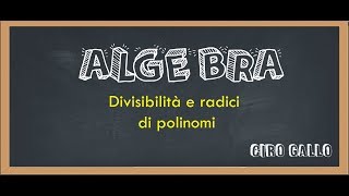 ALGEBRA 22  Divisibilità e radici di polinomi [upl. by Tolecnal]