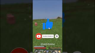 Con Heo Bất Ổn minecraft whitemc shorts [upl. by Nivej]