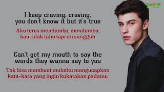 Shawn Mendes  Imagination  Lirik dan Terjemahan [upl. by Asyen60]