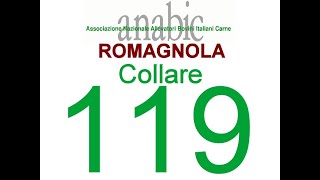 ROMAGNOLA  COLLARE 119 IT040990119896 [upl. by Larimor582]