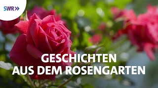 Faszinierende Welt der Rosen  SWR Doku [upl. by Rosane]