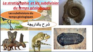 SVT 1ABioF La sédimentation dans les milieux intermédiaires actuels [upl. by Iredale17]