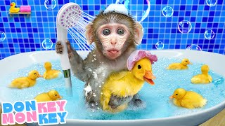 🚿 La Canción Del Baño 🛁 A Bañarme con Patitos  Donkey Monkey  Canciones Infantiles [upl. by Llehcar]