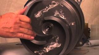 Ultra V Series Pump Maintenance Pt 7  Impeller Installation and Adjustment [upl. by Nodaj]