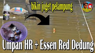 MAKANIN BANGEEET  Umpan HR Ali Kroto mix Essen Red Dedung [upl. by Arim577]