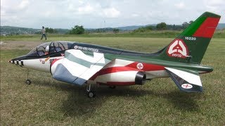 DassaultDornier Alpha Jet アルファジェット First flight RC eJET [upl. by Kee78]