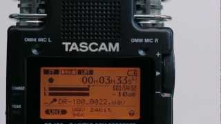 Tascam DR100 MKII A Closer Look [upl. by Romeo770]