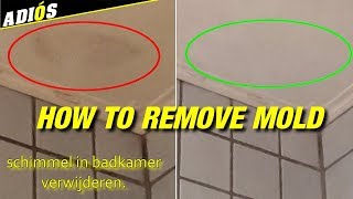 HOW TO REMOVE MOLD IN BATHROOM  Schimmel in de badkamer verwijderen [upl. by Claiborne]