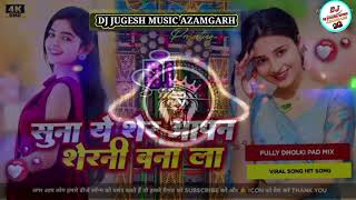 suna e sher apan sherni bana la dj song hard bass mixx  suna a sher ankita singh djshubham [upl. by Shenan]