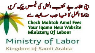 How To Check Iqama Fees Maktab Al Amal New Website 2020 Ministry of labour [upl. by Davenport]