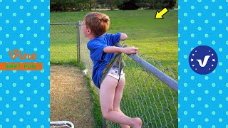 Best FUNNY Videos 2022 ● TOP People doing funny stupid things Part 31 [upl. by Perzan257]