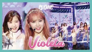 HOT IZONE  Violeta  아이즈원  비올레타 Show Music core 20190413 [upl. by Angadreme]