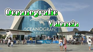 Oceanografic Valencia [upl. by Haggerty]