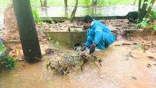 Unclogging Culvert Pipes After Heavy Debris Blockages [upl. by Aimet]