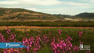 PINOSOEL PINÓS Alicante pueblo a pueblo [upl. by Weslee]