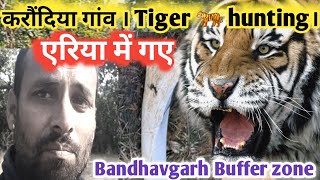 करौंदिया गांव । Tiger 🐅 hunting। एरिया में गए । Bandhavgarh Buffer zone । Bandhavgarh national park [upl. by Itagaki]