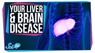 How Liver Problems Can Lead to Brain Disease [upl. by Merline]