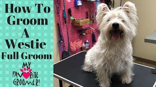 How to Groom a West Highland White Terrier [upl. by Brass271]