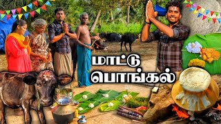 🔥கிராமத்து மாட்டு பொங்கல் கொண்டாட்டம்  VILLAGE MATTU PONGAL  PONGAL CELEBRATION 2024  FAMILY  K7 [upl. by Toffic196]