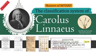 Carolus Linnaeus Classification System Artificial and Sexual Classification System  Detailed [upl. by Stella]