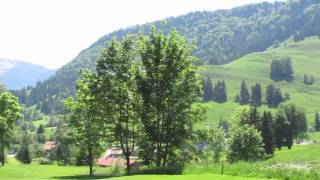 Impressionen von einem Golfturnier in OberstaufenSteibisis [upl. by Ehling749]