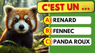 Devine lANIMAL en 3 secondes  Quiz 50 animaux [upl. by Nhguavoj432]