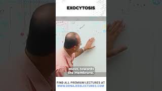 Exocytosis drnajeeb shortvideo drnajeeblectures [upl. by Tnilc]