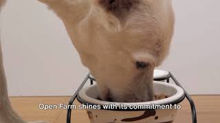 Open Farm vs Orijen Dog Food Which Brand is Right for Your Pup [upl. by Meuser]