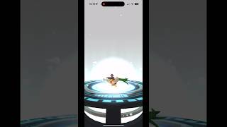 Evolving Shiny Farfetchd to Sirfetchd Farfetch sirfetch pokemongo pokemon pokemon [upl. by Edmee475]