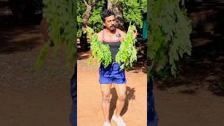 Diet plan Ideas tamil  Healthy Life style  Sathish fitness tamil [upl. by Housum]