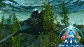 Taming the armored Turtle The Archelon Ark Ascended the Center Ep 25 [upl. by Nylekcaj]