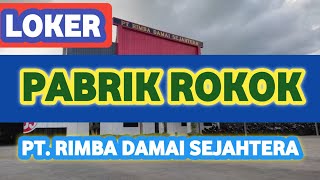 LOWONGAN KERJA HARI INI  PT RIMBA DAMAI SEJAHTERA PABRIK ROKOK [upl. by Cirnek349]