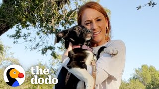 Woman Rescues 3 Dogs Just In Time  The Dodo [upl. by Lenoyl]