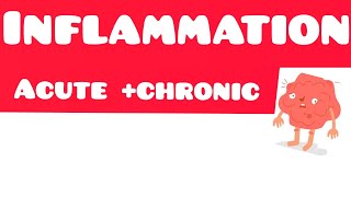 Pathology Lecture Inflammation Part 3 Leucocyte Extravasation From First Aid [upl. by Nujra]