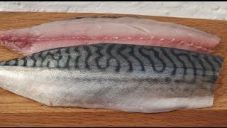 How To Fillet A MackerelAnd Cook It In Real TimeMackerel [upl. by Penthea484]