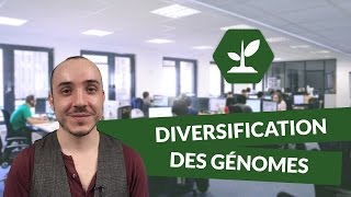 Diversification des génomes  SVT  digiSchool [upl. by Peers799]